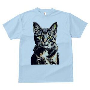 TVc  j[NfUCfB[X t@  t vg lJWA 킢 lԗp Mtg I ҏ΍ L ybg  킢 