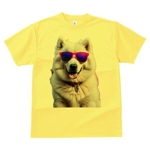 TGh TVc  j[NfUCfB[X t@  t vg lJWA 킢 lԗp Mtg I ҏ΍ TOX TGh