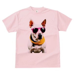 ueA TVc  j[NfUCfB[X t@  t vg lJWA 킢 lԗp Mtg I ҏ΍ TOX ueA XJ[t