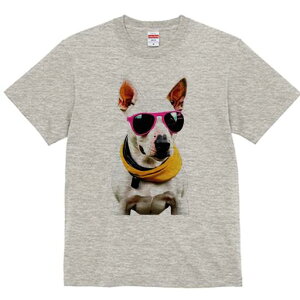 ueA TVc  j[NfUCfB[X t@  t vg lJWA 킢 lԗp Mtg I ҏ΍ TOX ueA XJ[t