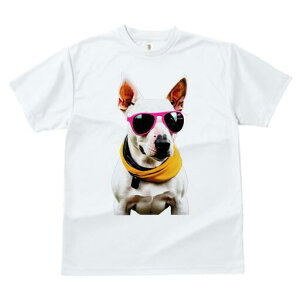 �u���e���A T�V���c ���� ���j�[�N�f�U�C�����f�B�[�X ���t�@�� ���� �t�� �v�����g ��l�J�W���A�� ���킢�� �l�ԗp �M�t�g ���I �ҏ��΍� �T���O���X �u���e���A �X�J�[�t