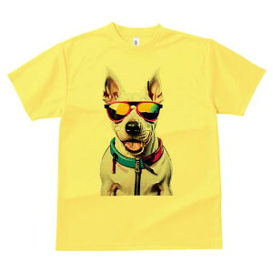 ueA TVc  j[NfUCfB[X t@  t vg lJWA 킢 lԗp Mtg I ҏ΍ TOX ueA  Wbp[