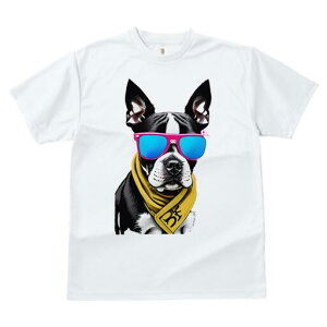 {XgeA TVc  j[NfUCfB[X t@  t vg lJWA 킢 lԗp Mtg I ҏ΍ TOX {XgeA XJ[t