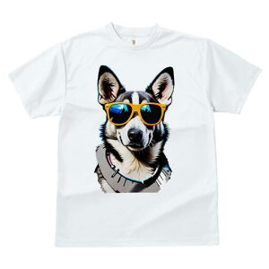 nXL[ TVc  j[NfUCfB[X t@  t vg lJWA 킢 lԗp Mtg I ҏ΍ TOX nXL[