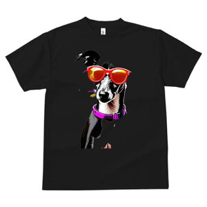 OCnEh TVc  j[NfUCfB[X t@  t vg lJWA 킢 lԗp Mtg I ҏ΍ TOX OCnEh 