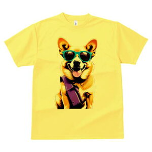 R[M[ TVc  j[NfUCfB[X t@  t vg lJWA 킢 lԗp Mtg I ҏ΍ TOX R[M[ obO