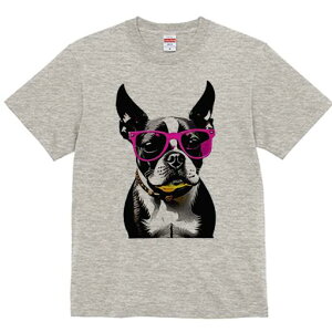 {XgeA TVc  j[NfUCfB[X t@  t vg lJWA 킢 lԗp Mtg I ҏ΍ Kl {XgeA sN