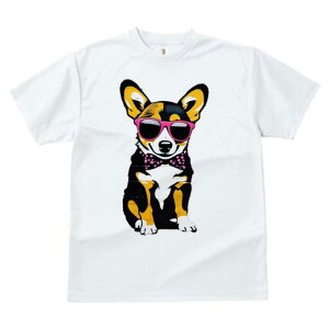 R[M[ TVc  j[NfUCfB[X t@  t vg lJWA 킢 lԗp Mtg I ҏ΍ TOX R[M[ lN^C