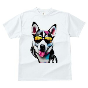 nXL[ TVc  j[NfUCfB[X t@  t vg lJWA 킢 lԗp Mtg I ҏ΍ TOX nXL[ vW