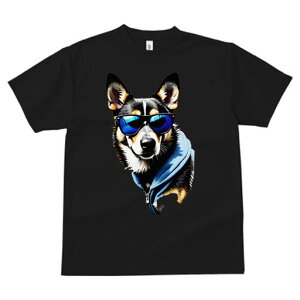 R[M[ TVc  j[NfUCfB[X t@  t vg lJWA 킢 lԗp Mtg I ҏ΍ TOX R[M[ p[J[