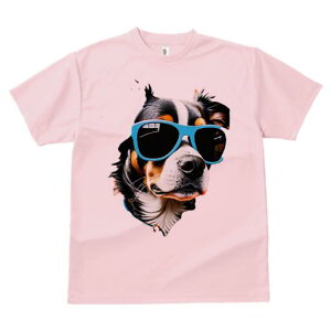 o[j[Y}EehbO TVc  j[NfUCfB[X t@  t vg lJWA 킢 lԗp Mtg I ҏ΍ TOX o[j[Y}E