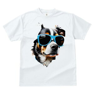 o[j[Y}EehbO TVc  j[NfUCfB[X t@  t vg lJWA 킢 lԗp Mtg I ҏ΍ TOX o[j[Y}E