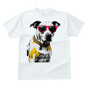 _VA TVc  j[NfUCfB[X t@  t vg lJWA 킢 lԗp Mtg I ҏ΍ TOX _VA 