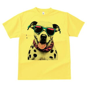 _VA TVc  j[NfUCfB[X t@  t vg lJWA 킢 lԗp Mtg I ҏ΍ TOX _VA XJ[t