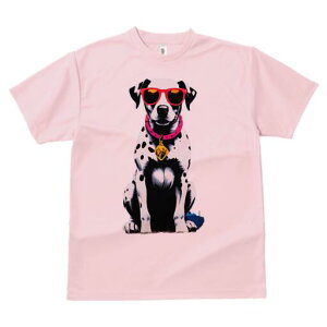 _VA TVc  j[NfUCfB[X t@  t vg lJWA 킢 lԗp Mtg I ҏ΍ TOX _VA  y_g