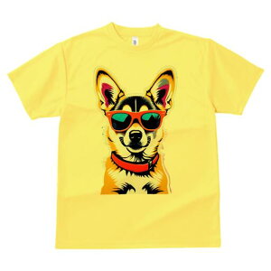 R[M[ TVc  j[NfUCfB[X t@  t vg lJWA 킢 lԗp Mtg I ҏ΍ TOX R[M[ 