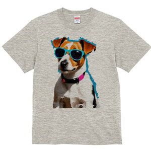 WbNbZeA TVc  j[NfUCfB[X t@  t vg lJWA 킢 lԗp Mtg I ҏ΍ TOX WbNbZe