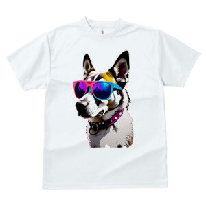 nXL[ TVc  j[NfUCfB[X t@  t vg lJWA 킢 lԗp Mtg I ҏ΍ TOX nXL[ N[