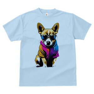 R[M[ TVc  j[NfUCfB[X t@  t vg lJWA 킢 lԗp Mtg I ҏ΍ TOX R[M[ p[J[