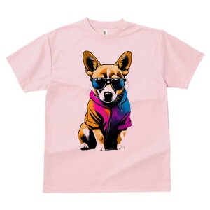 R[M[ TVc  j[NfUCfB[X t@  t vg lJWA 킢 lԗp Mtg I ҏ΍ TOX R[M[ p[J[