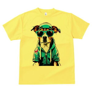 WbNbZeA TVc  j[NfUCfB[X t@  t vg lJWA 킢 lԗp Mtg I ҏ΍ TOX WbNbZe