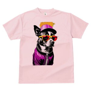 {XgeA TVc  j[NfUCfB[X t@  t vg lJWA 킢 lԗp Mtg I ҏ΍ TOX {XgeA Xq WPb