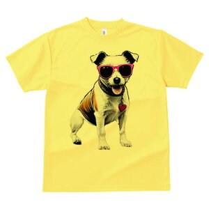 WbNbZeA TVc  j[NfUCfB[X t@  t vg lJWA 킢 lԗp Mtg I ҏ΍ TOX WbNbZe