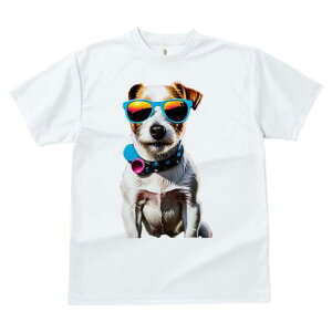 WbNbZeA TVc  j[NfUCfB[X t@  t vg lJWA 킢 lԗp Mtg I ҏ΍ TOX WbNbZe