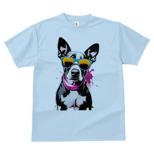 {XgeA TVc  j[NfUCfB[X t@  t vg lJWA 킢 lԗp Mtg I ҏ΍ TOX {XgeA XJ[t