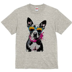 {XgeA TVc  j[NfUCfB[X t@  t vg lJWA 킢 lԗp Mtg I ҏ΍ TOX {XgeA XJ[t