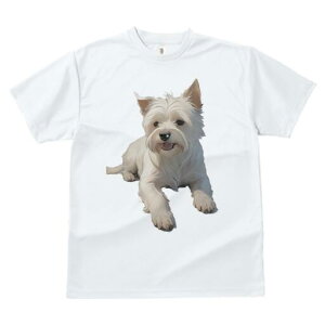 EGXgnChzCgeA TVc  j[NfUCfB[X t@  t vg lJWA 킢 lԗp Mtg I ҏ΍ EGXgnChz