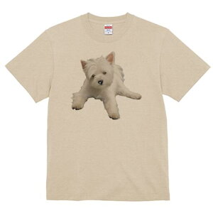 EGXgnChzCgeA TVc  j[NfUCfB[X t@  t vg lJWA 킢 lԗp Mtg I ҏ΍ EGXgnChz