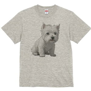 EGXgnChzCgeA TVc  j[NfUCfB[X t@  t vg lJWA 킢 lԗp Mtg I ҏ΍ EGXgnChz