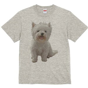 EGXgnChzCgeA TVc  j[NfUCfB[X t@  t vg lJWA 킢 lԗp Mtg I ҏ΍ EGXgnChz