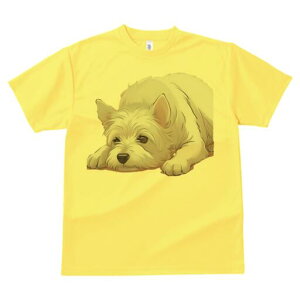 EGXgnChzCgeA TVc  j[NfUCfB[X t@  t vg lJWA 킢 lԗp Mtg I ҏ΍ EGXgnChz