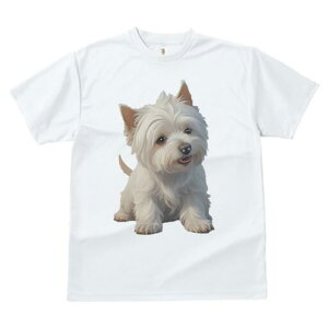 EGXgnChzCgeA TVc  j[NfUCfB[X t@  t vg lJWA 킢 lԗp Mtg I ҏ΍ EGXgnChz