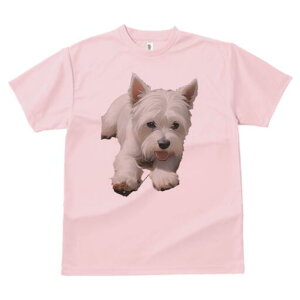 EGXgnChzCgeA TVc  j[NfUCfB[X t@  t vg lJWA 킢 lԗp Mtg I ҏ΍ EGXgnChz