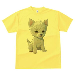 EGXgnChzCgeA TVc  j[NfUCfB[X t@  t vg lJWA 킢 lԗp Mtg I ҏ΍ EGXgnChz