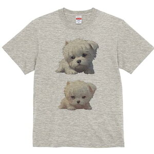 }`[Y TVc  j[NfUCfB[X t@  t vg lJWA 킢 lԗp Mtg I ҏ΍ }`[Y