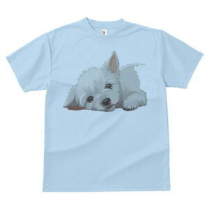 EGXgnChzCgeA TVc  j[NfUCfB[X t@  t vg lJWA 킢 lԗp Mtg I ҏ΍ 킢 EGXgnC