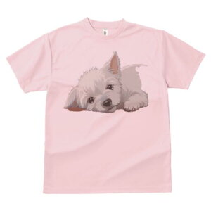 EGXgnChzCgeA TVc  j[NfUCfB[X t@  t vg lJWA 킢 lԗp Mtg I ҏ΍ 킢 EGXgnC