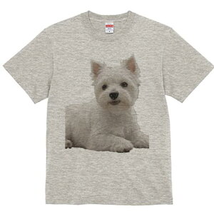 EGXgnChzCgeA TVc  j[NfUCfB[X t@  t vg lJWA 킢 lԗp Mtg I ҏ΍ EGXgnChz