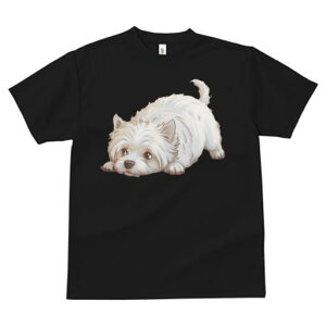 �E�G�X�g�n�C�����h�z���C�g�e���A T�V���c ���� ���j�[�N�f�U�C�����f�B�[�X ���t�@�� ���� �t�� �v�����g ��l�J�W���A�� ���킢�� �l�ԗp �M�t�g ���I �ҏ��΍� �E�G�X�g�n�C�����h�z