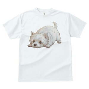 EGXgnChzCgeA TVc  j[NfUCfB[X t@  t vg lJWA 킢 lԗp Mtg I ҏ΍ EGXgnChz