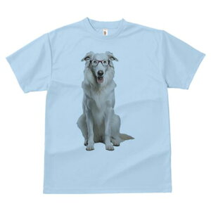 O[gsj[Y TVc  j[NfUCfB[X t@  t vg lJWA 킢 lԗp Mtg I ҏ΍ Kl O[gsj[Y