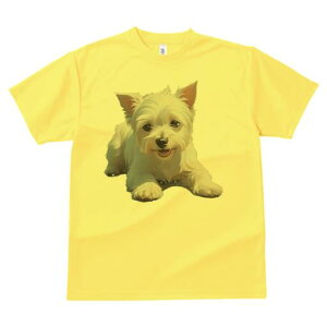 EGXgnChzCgeA TVc  j[NfUCfB[X t@  t vg lJWA 킢 lԗp Mtg I ҏ΍ 킢 EGXgnC