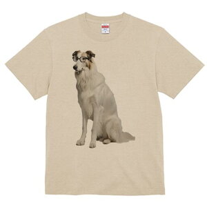 {]C TVc  j[NfUCfB[X t@  t vg lJWA 킢 lԗp Mtg I ҏ΍ Kl {]C