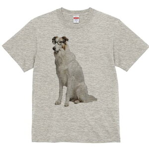 {]C TVc  j[NfUCfB[X t@  t vg lJWA 킢 lԗp Mtg I ҏ΍ Kl {]C