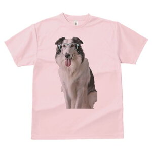 {[_[R[ TVc  j[NfUCfB[X t@  t vg lJWA 킢 lԗp Mtg I ҏ΍ Kl {[_[R[