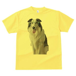 {[_[R[ TVc  j[NfUCY LbY t@  t vg lJWA 킢 lԗp Mtg I ҏ΍ Kl {[_[R[